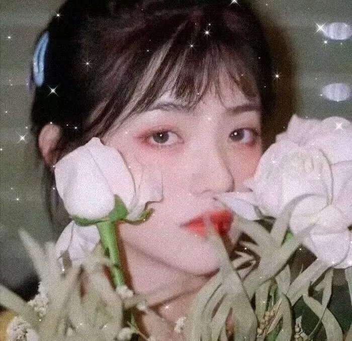 巴塔哥尼亚封面